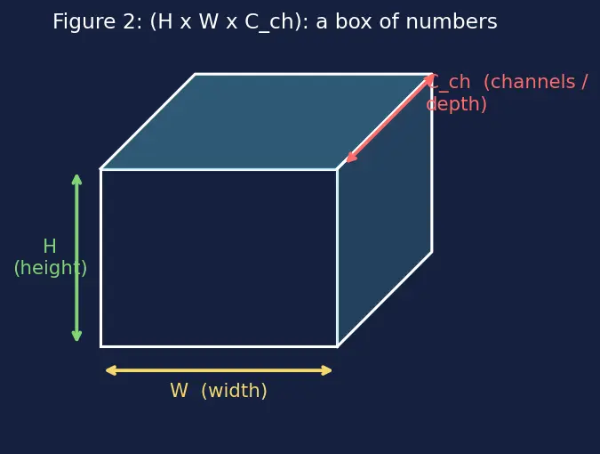Figure — Semantic segmentation (U-Net, FCN)