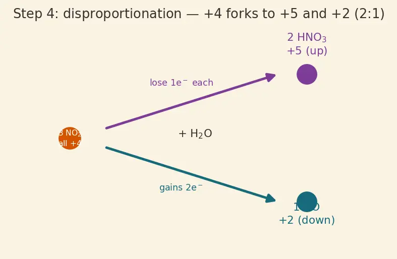 Figure — Group 15 (Nitrogen family) — N₂ inertness; NH₃ synthesis (Haber); HNO₃ (Ostwald); oxides of N (N₂O, NO, NO₂, N₂O₄, N₂O₅)