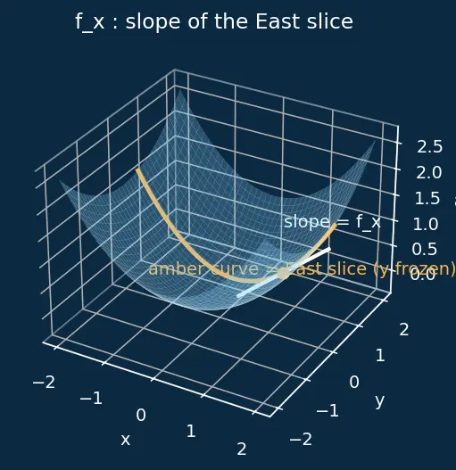 Figure — Differentiability in multiple variables