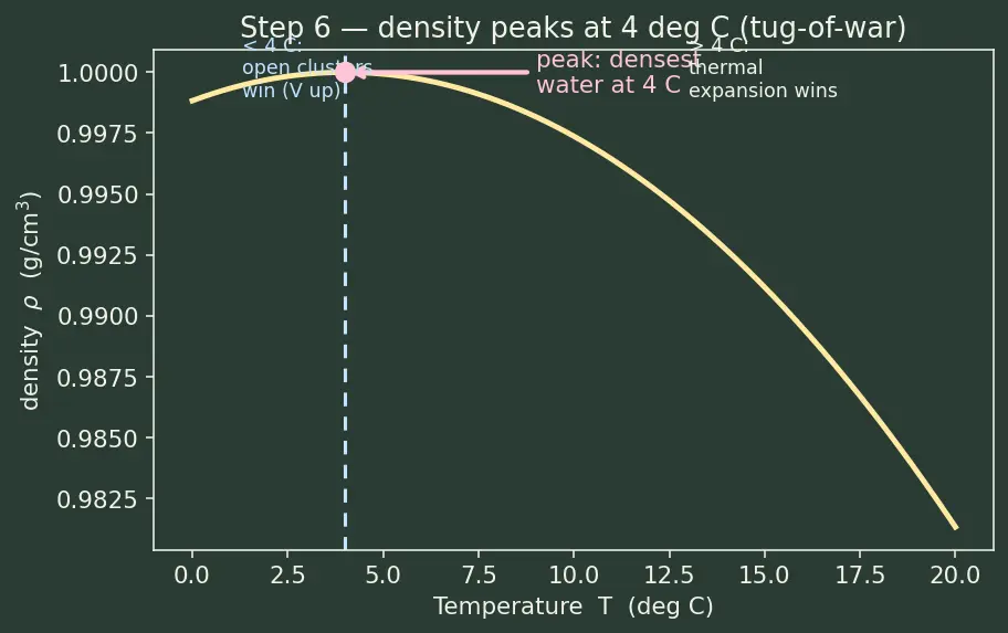 Figure — Hydrogen bonding — intermolecular, intramolecular; consequences (boiling points, water density)