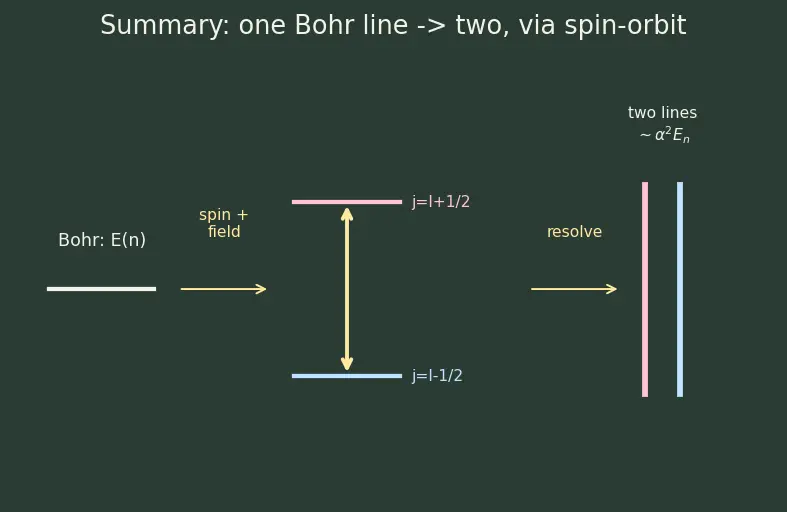 Figure — Limitations of Bohr — fails for multi-electron atoms, fine structure