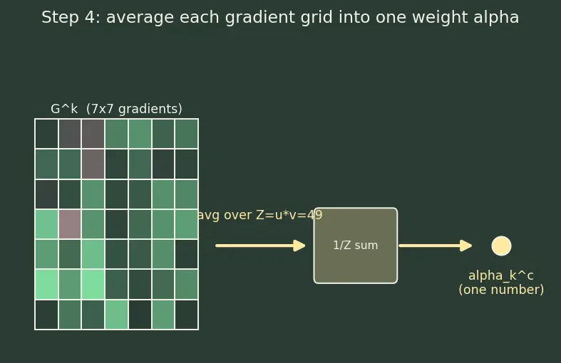 Figure — Saliency maps and Grad-CAM