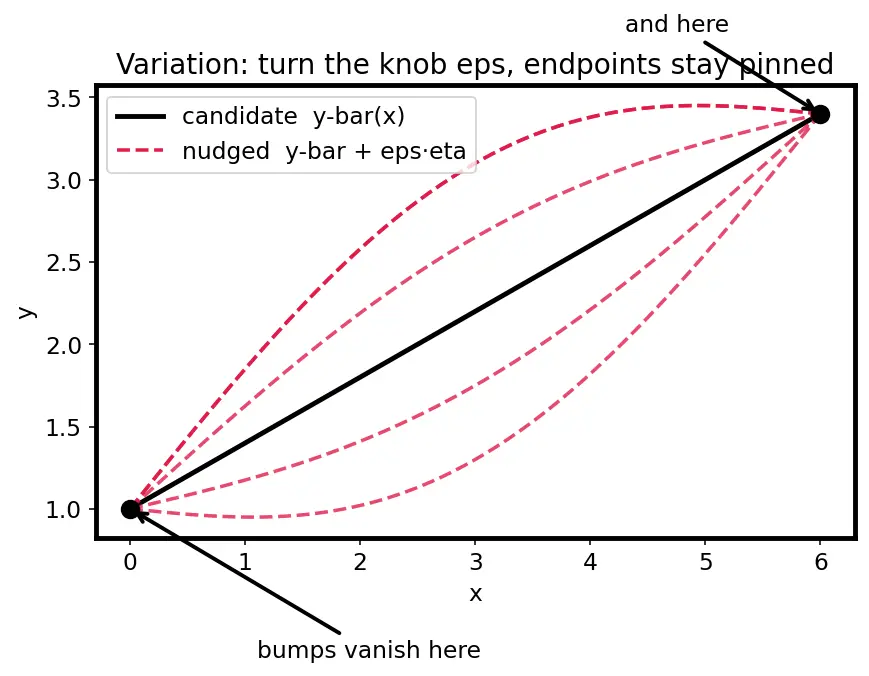 Figure — Isoperimetric problems — constraints (Lagrange multipliers in variational sense)