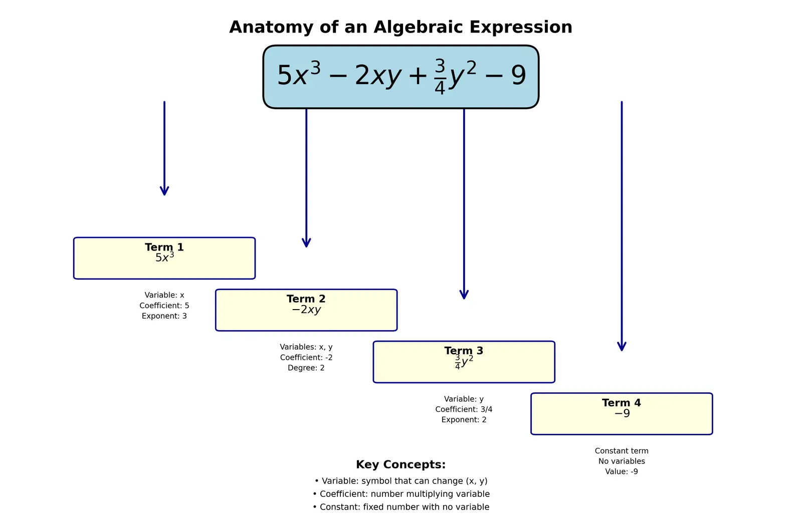 Figure — Variables, constants, coefficients — algebraic expressions