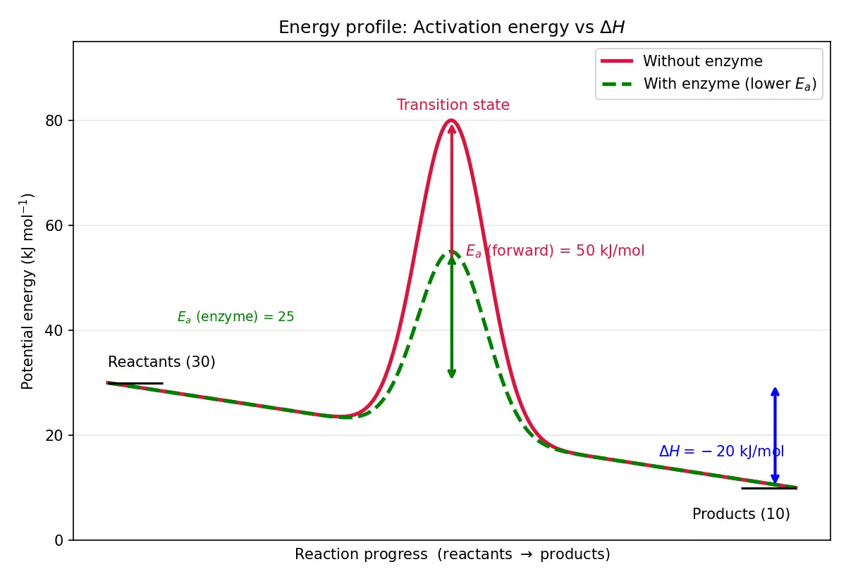 Figure — Define activation energy