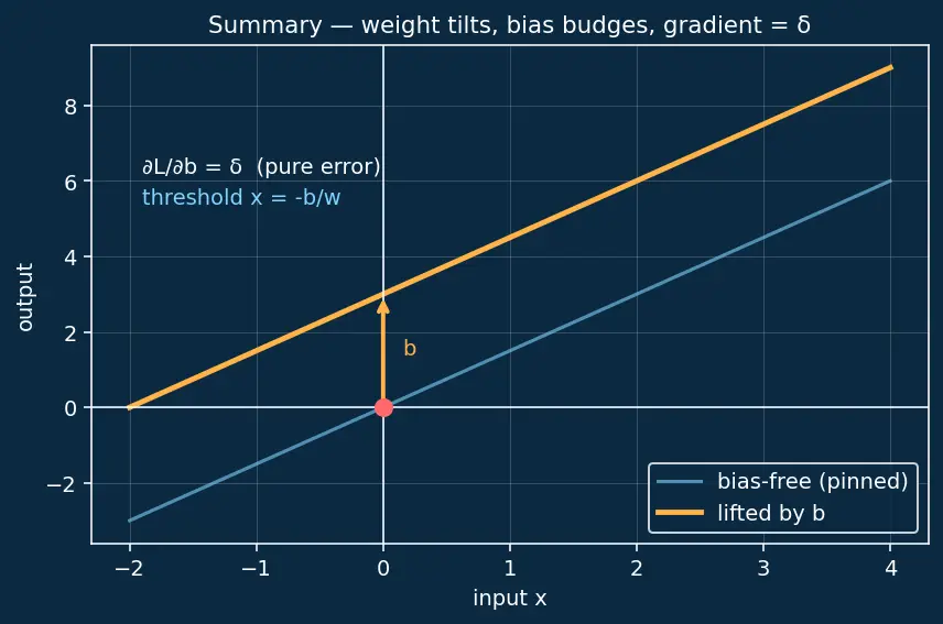 Figure — Bias terms and their role