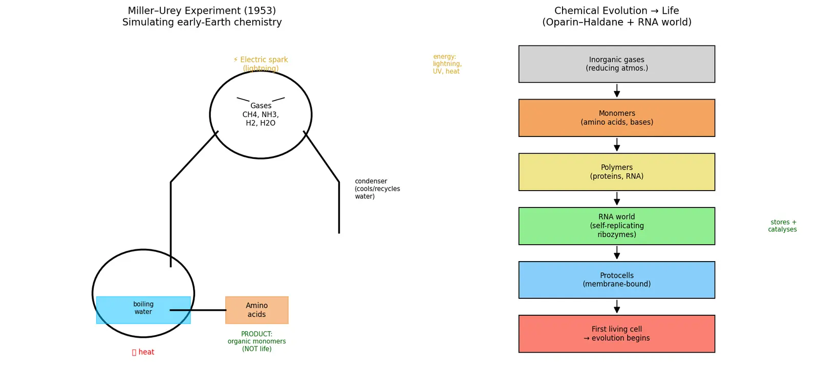 Figure — Describe the origin of life hypotheses
