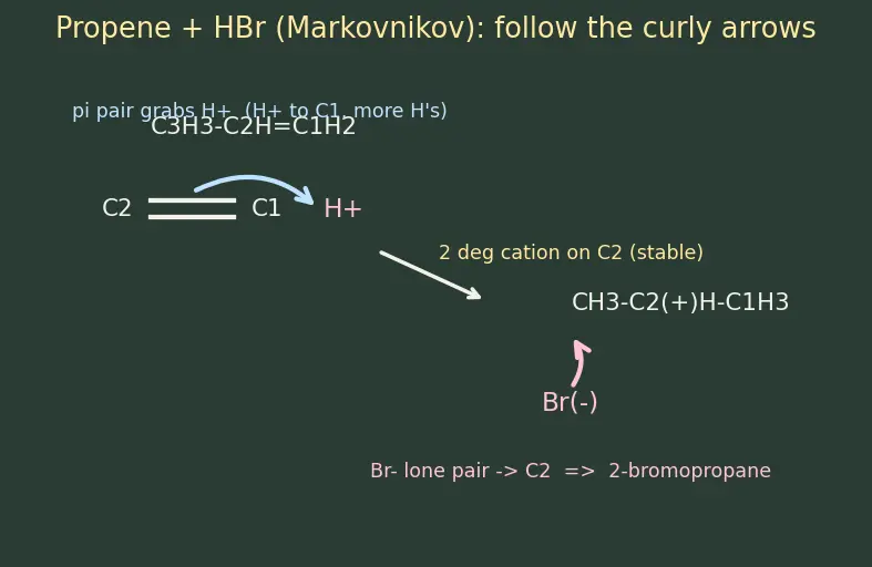 Figure — Alkenes — preparation (dehydration, dehydrohalogenation, Zaitsev's rule), addition reactions