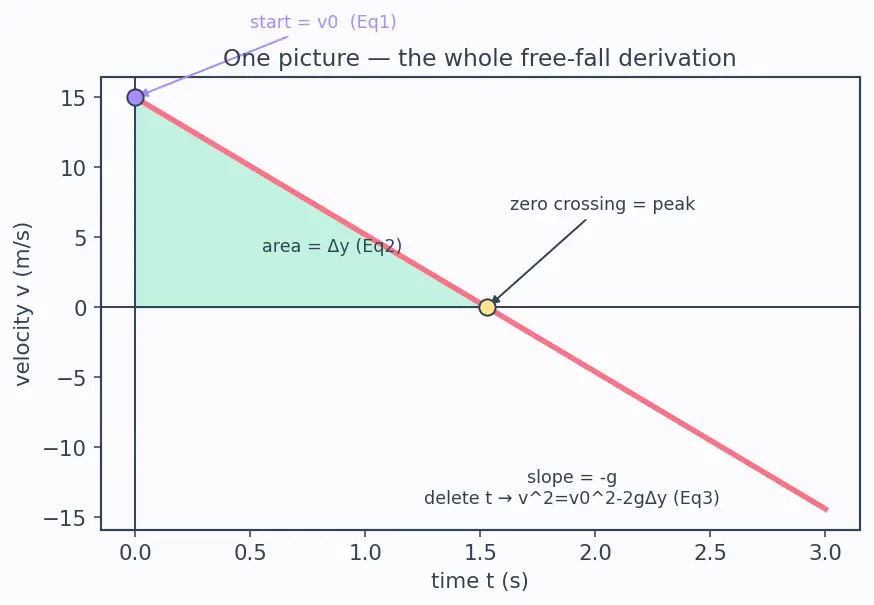 Figure — Free fall — g = 9.8 m - s², sign conventions