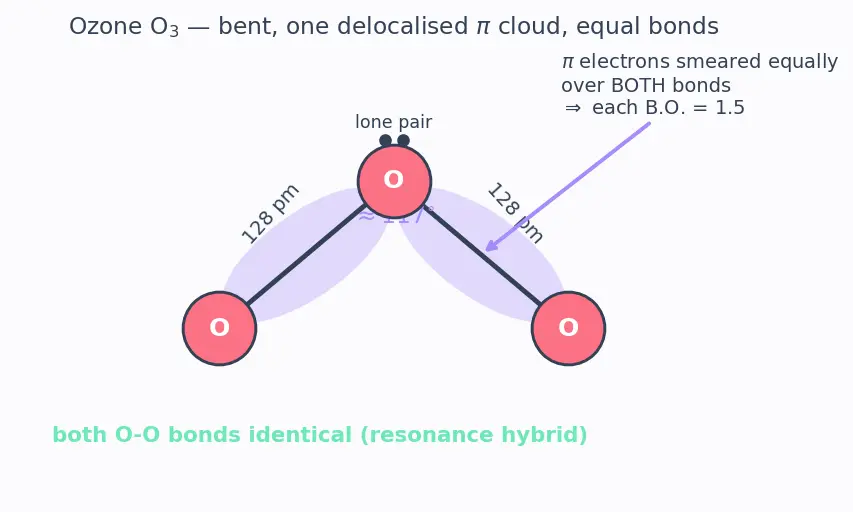 Figure — Group 16 (Oxygen family) — allotropes of O (O₂, O₃); ozone chemistry, ozone layer