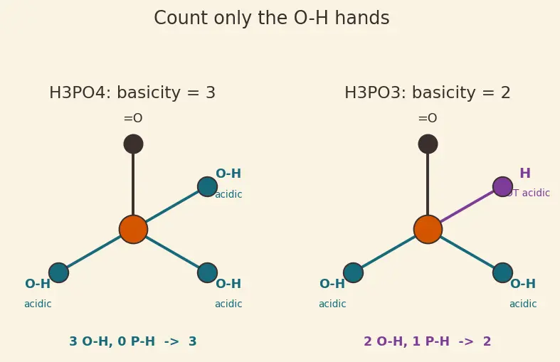 Figure — Phosphorus allotropes (white, red, black); P₄O₆, P₄O₁₀; oxoacids of P (H₃PO₃ vs H₃PO₄ basicity)