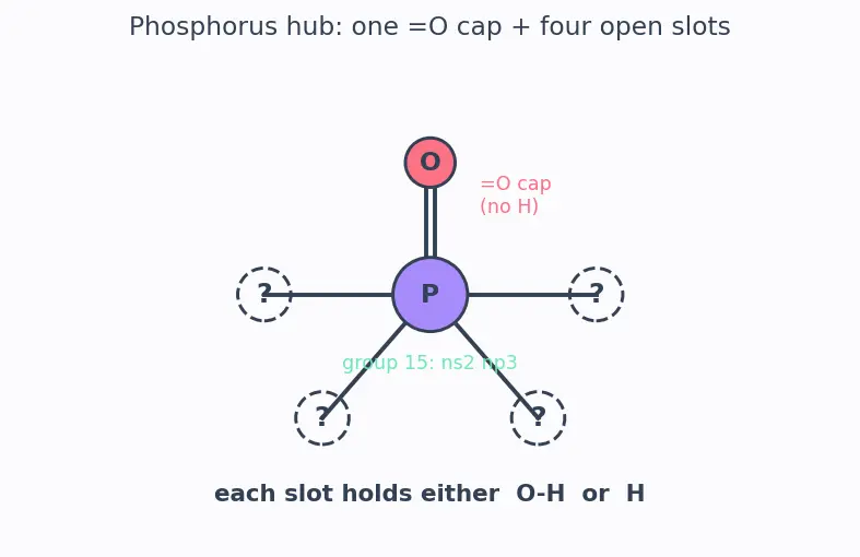 Figure — Phosphorus allotropes (white, red, black); P₄O₆, P₄O₁₀; oxoacids of P (H₃PO₃ vs H₃PO₄ basicity)