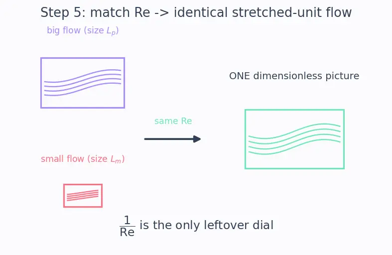 Figure — Similarity — geometric, kinematic, dynamic; Reynolds similarity