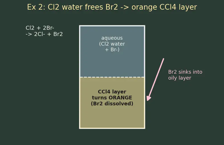 Figure — Common anions — Cl⁻, Br⁻, I⁻, SO₄²⁻, NO₃⁻, CO₃²⁻ — confirmatory tests