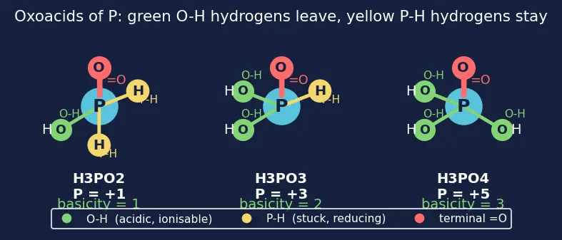 Figure — Phosphorus allotropes (white, red, black); P₄O₆, P₄O₁₀; oxoacids of P (H₃PO₃ vs H₃PO₄ basicity)