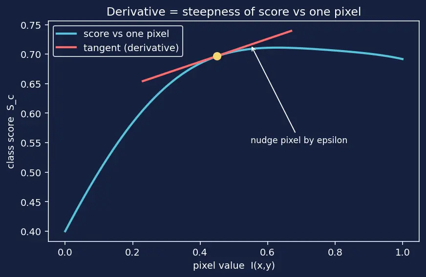 Figure — Saliency maps and Grad-CAM