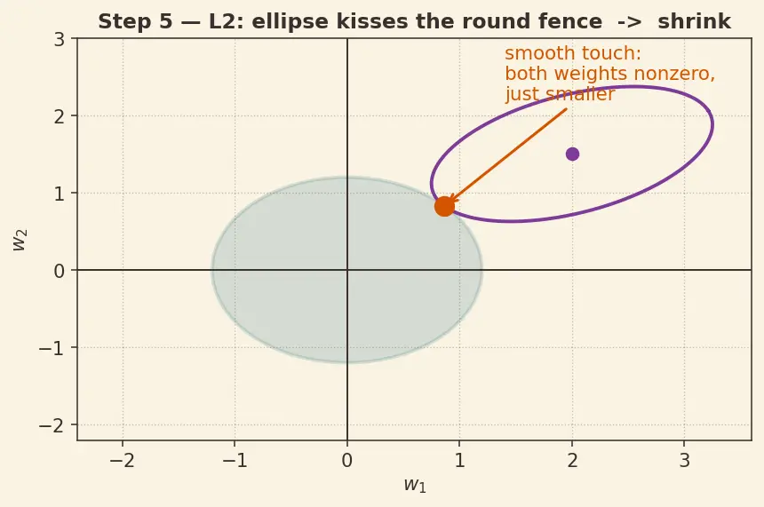 Figure — Regularization — L1 (lasso), L2 (ridge), dropout