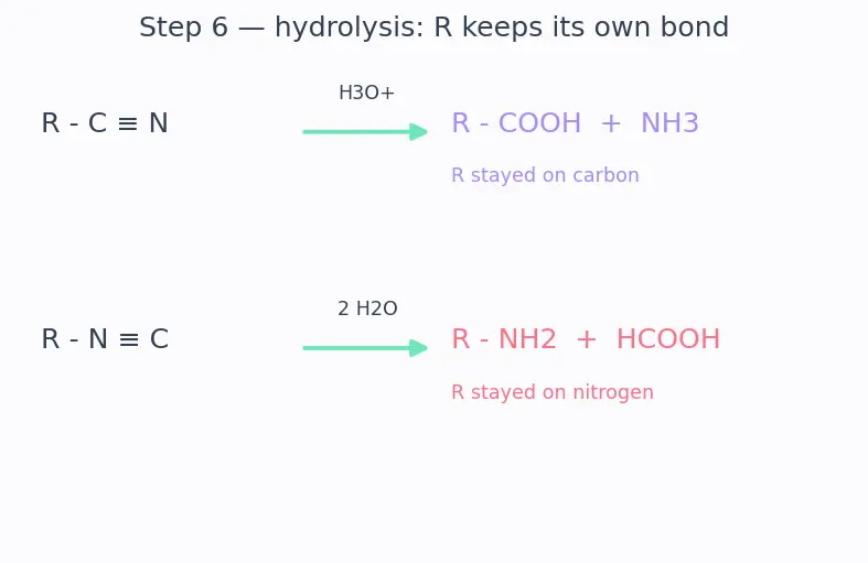 Figure — Cyanides and isocyanides