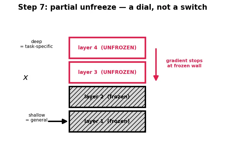 Figure — Full fine-tuning vs feature extraction
