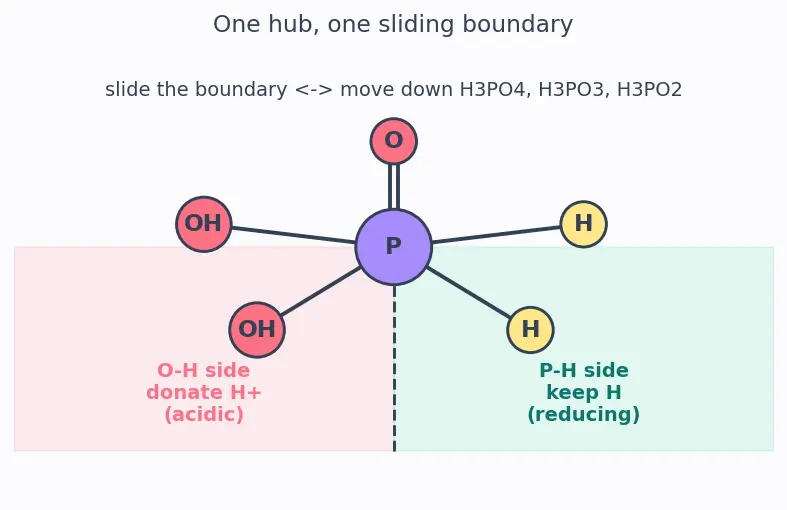 Figure — Phosphorus allotropes (white, red, black); P₄O₆, P₄O₁₀; oxoacids of P (H₃PO₃ vs H₃PO₄ basicity)