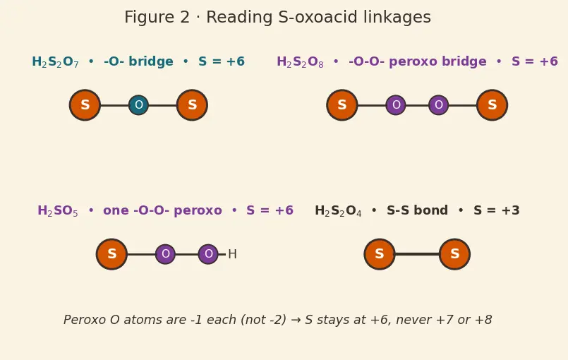 Figure — Sulfur — allotropes (rhombic, monoclinic); SO₂, SO₃; H₂SO₄ (Contact process); oxoacids of S