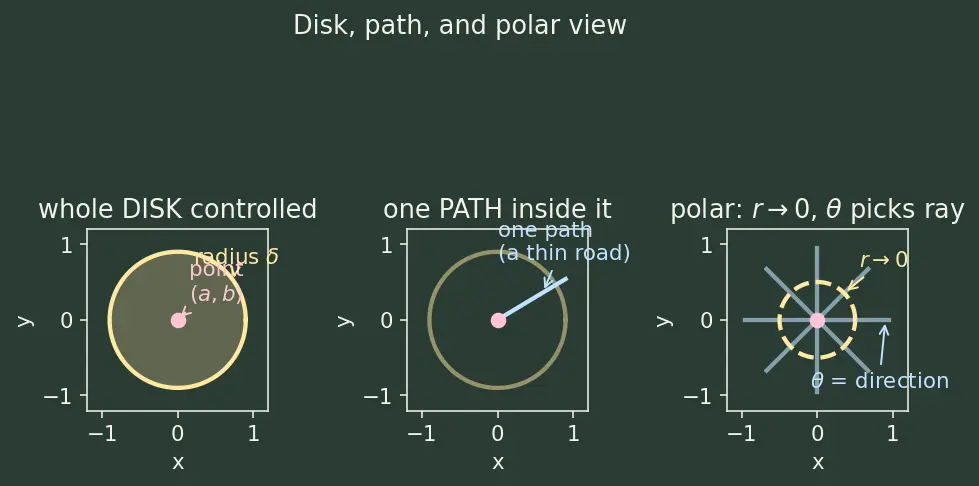 Figure — Limits and continuity in 2D — path-dependence issue