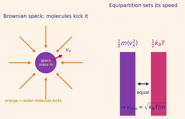 Figure — Equipartition theorem — ½k_BT per quadratic degree of freedom