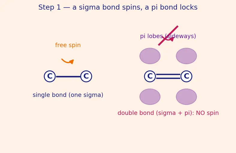 Figure — Isomerism — structural (chain, position, functional, metamerism, tautomerism) and stereo (geometrical - cis-trans - E-Z,