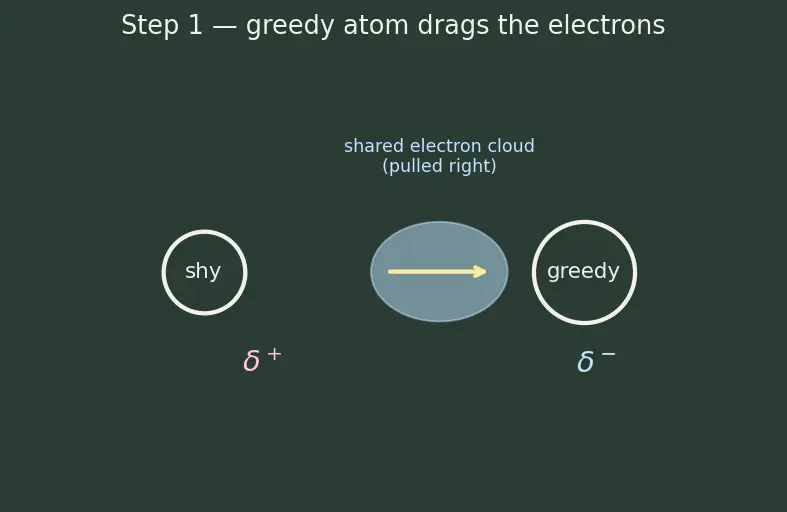 Figure — Polarity of bonds — dipole moment μ = q·d