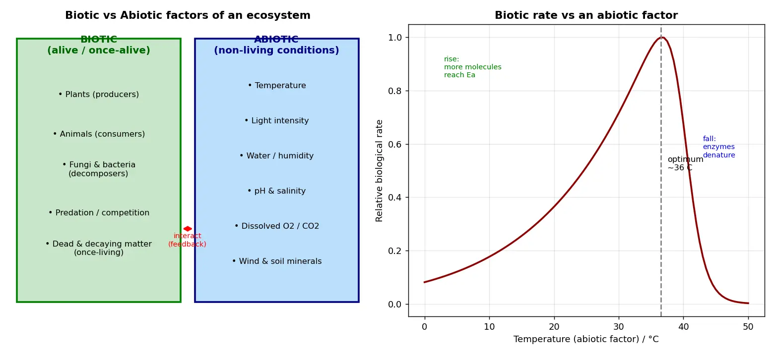 Figure — Distinguish biotic and abiotic factors
