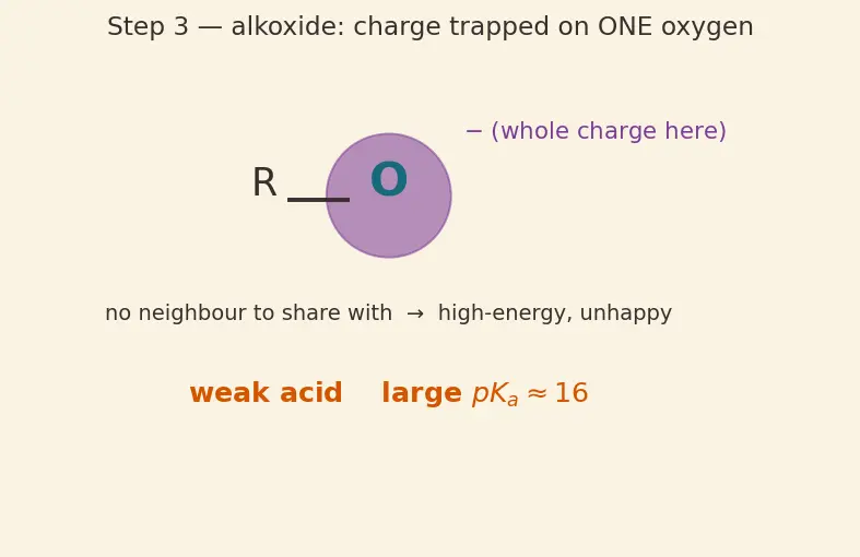 Figure — Carboxylic acids — acidity, derivatives (acid chlorides, anhydrides, esters, amides), Hell-Volhard-Zelinsky, esterificat