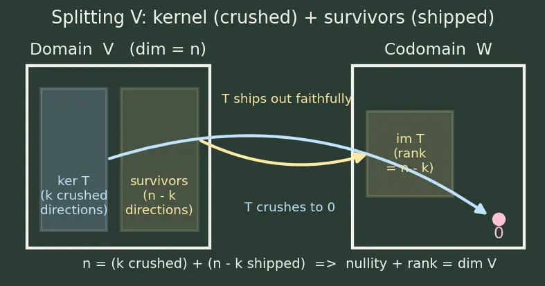 Figure — Rank-nullity theorem — proof