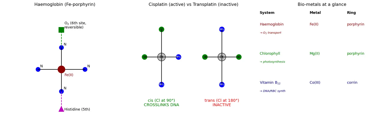 Figure — Applications — biological (haemoglobin, chlorophyll, vit B₁₂), medicinal (cisplatin), industrial (catalysts)