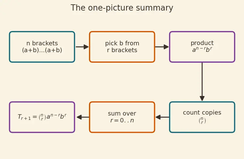 Figure — General term of binomial expansion — finding specific terms