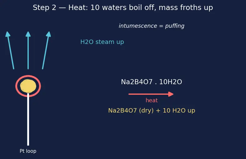 Figure — Borax bead, charcoal cavity tests