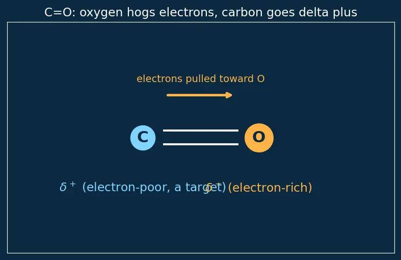 Figure — α,β-Unsaturated carbonyls — Michael addition, 1,2 vs 1,4 addition