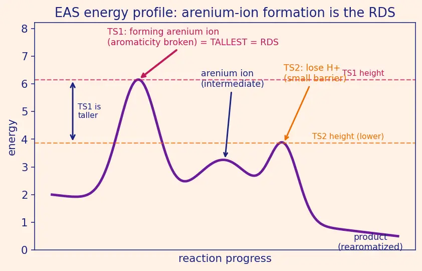 Figure — Electrophilic aromatic substitution (EAS) — nitration, halogenation, sulfonation, Friedel-Crafts alkylation - acylation;