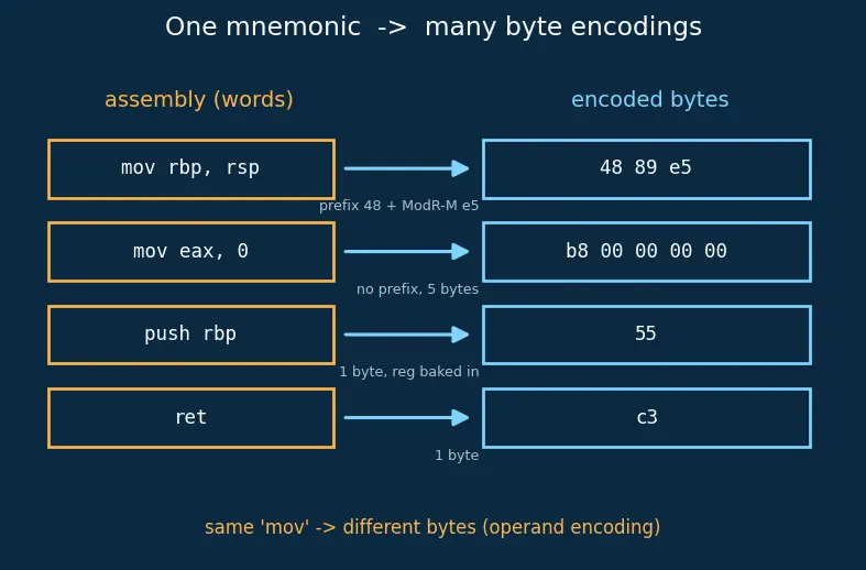 Figure — C compilation — preprocessor, compiler, assembler, linker