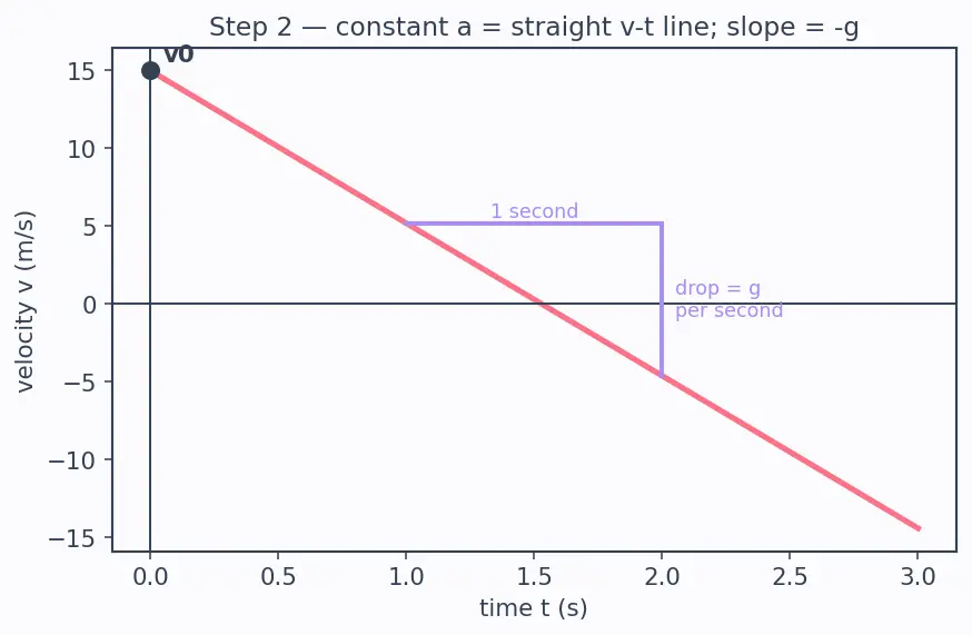 Figure — Free fall — g = 9.8 m - s², sign conventions