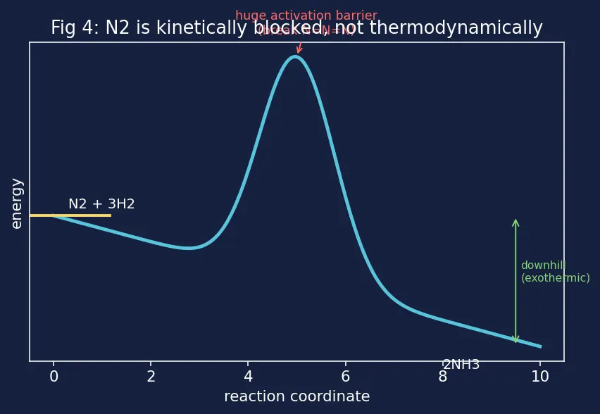 Figure — Group 15 (Nitrogen family) — N₂ inertness; NH₃ synthesis (Haber); HNO₃ (Ostwald); oxides of N (N₂O, NO, NO₂, N₂O₄, N₂O₅)