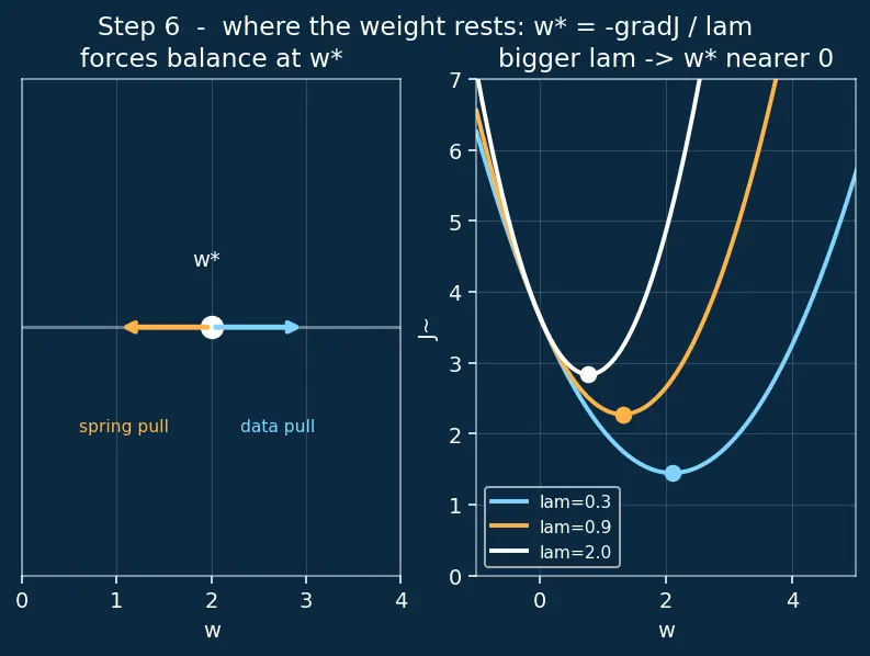 Figure — L1 - L2 weight decay in deep nets
