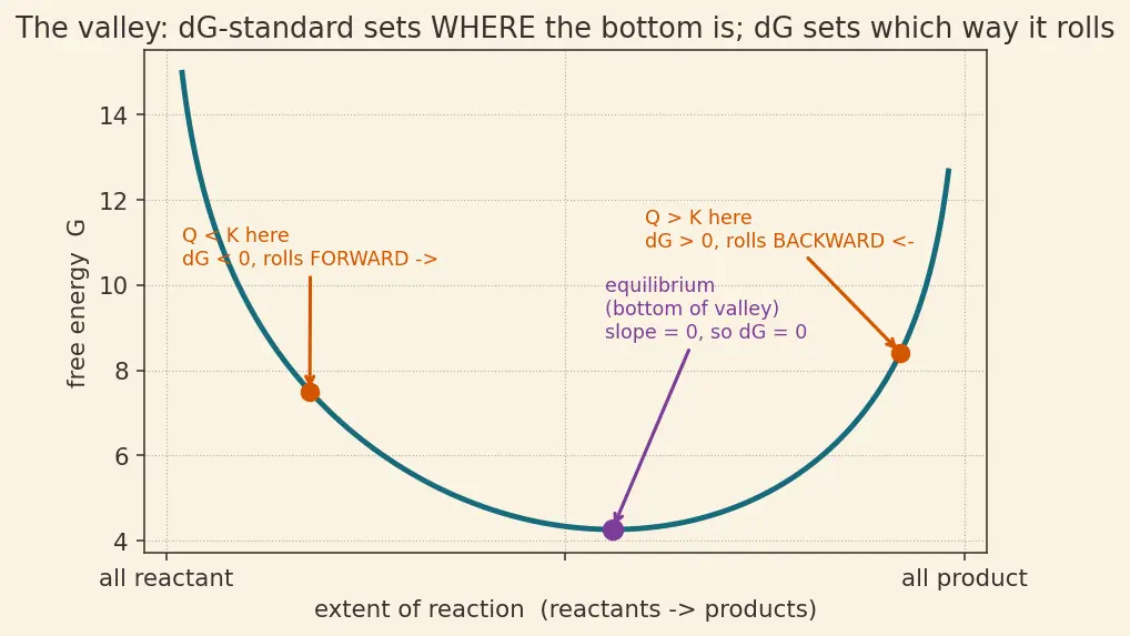 Figure — ΔG° and equilibrium constant -  ΔG° = −RT ln K
