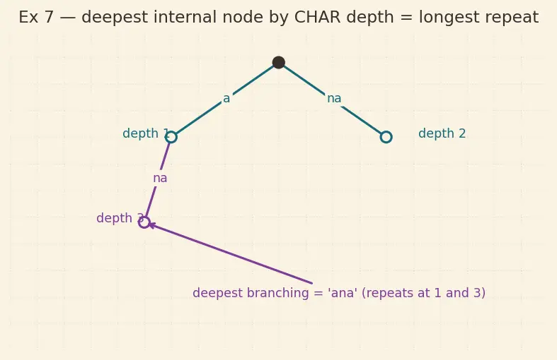 Figure — Suffix tree (conceptual)