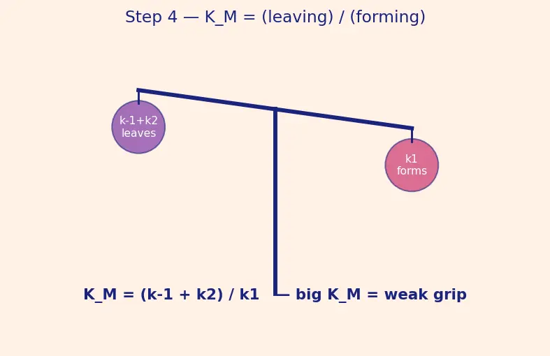 Figure — Catalysis — homogeneous, heterogeneous, enzyme catalysis
