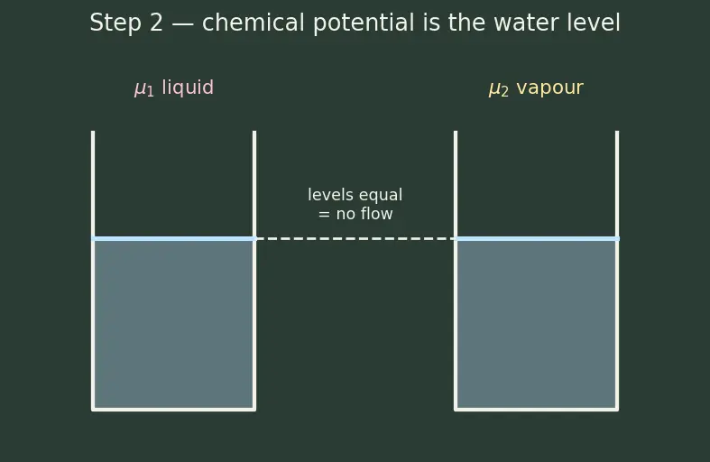 Figure — Phase equilibrium — Clausius-Clapeyron equation
