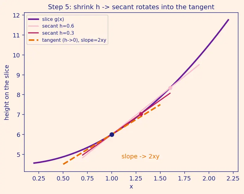 Figure — Partial derivatives