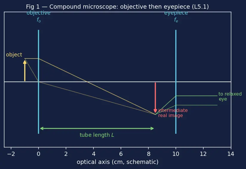 Figure — Optical instruments — human eye, simple microscope, compound microscope, telescope