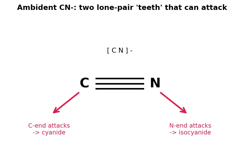 Figure — Cyanides and isocyanides