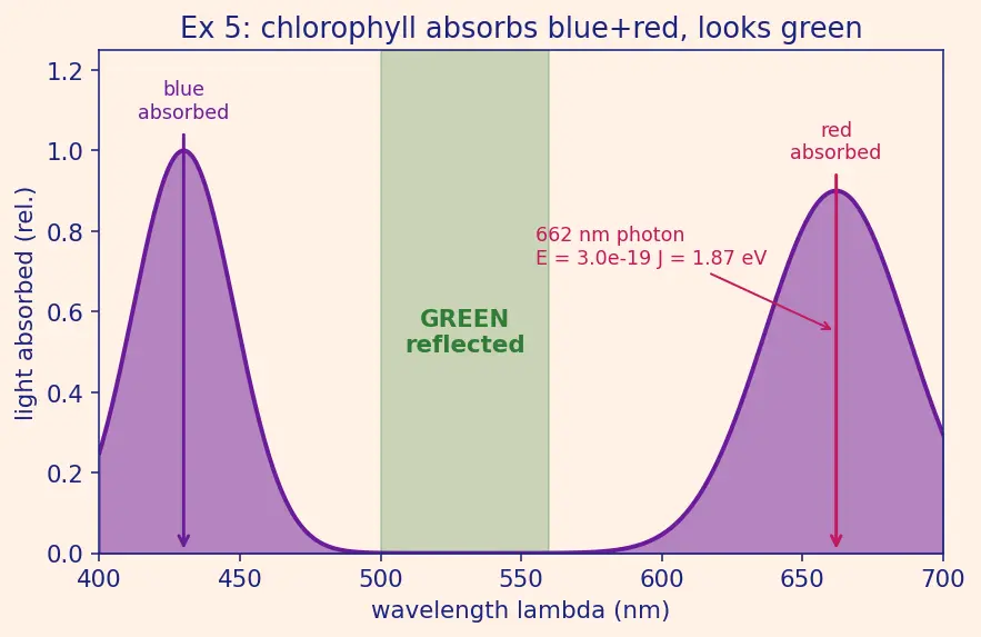 Figure — Applications — biological (haemoglobin, chlorophyll, vit B₁₂), medicinal (cisplatin), industrial (catalysts)