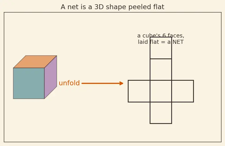 Figure — Nets of 3D shapes